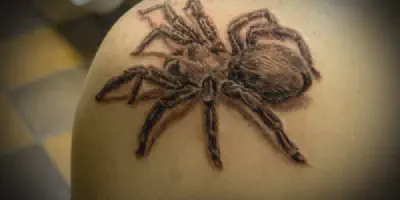 /img/19669-blue-tarantula-tattoo-inspiration-8.webp