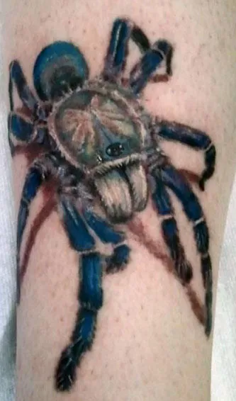 19669 geometric blue tarantula 4