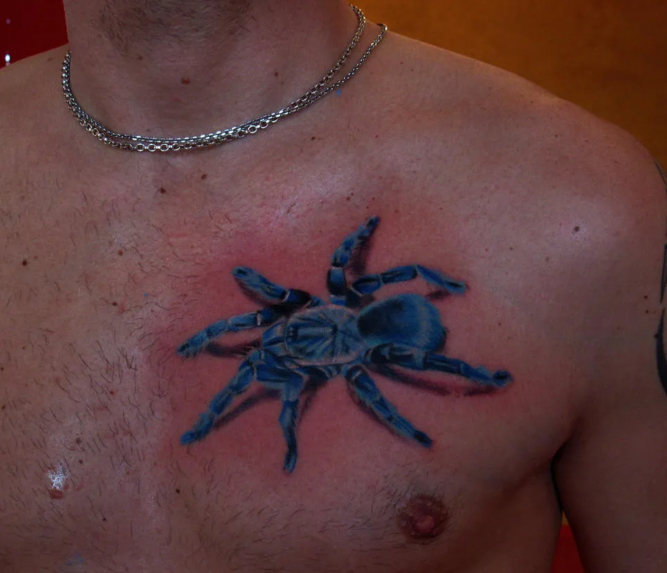 19669 tarantula tattoo aftercare 7