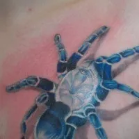 19669 tarantula tattoo placement 6