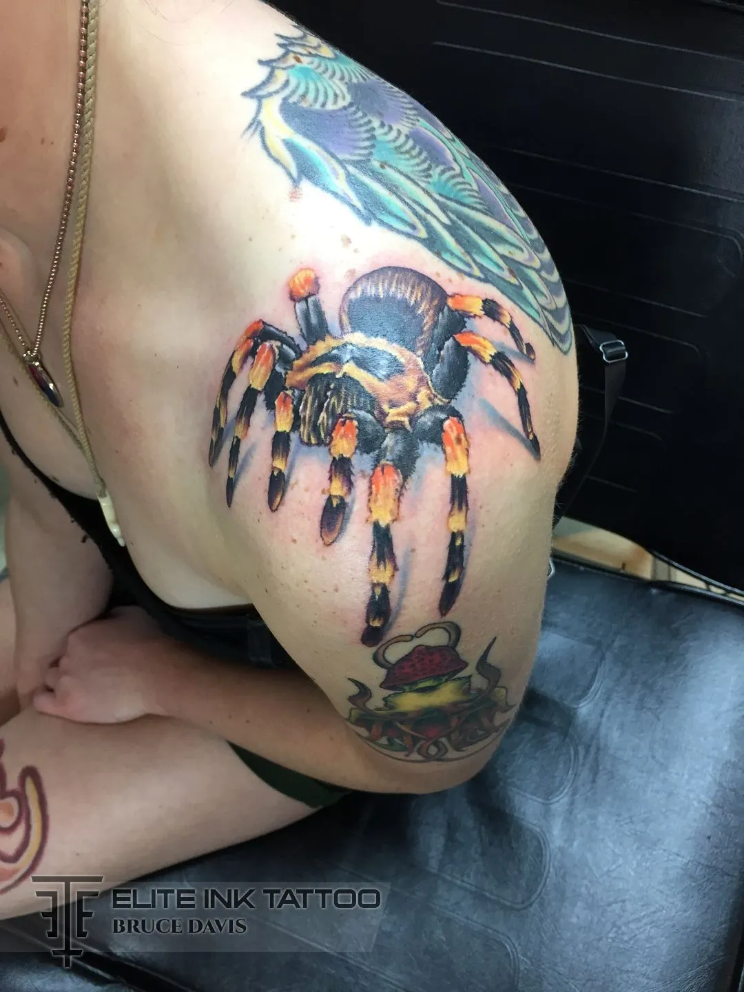 19669 tarantula tattoo style 3