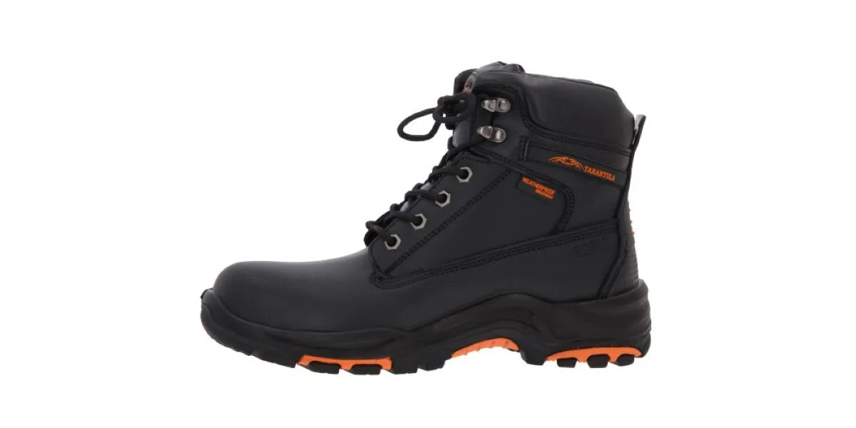 19674 tarantula species