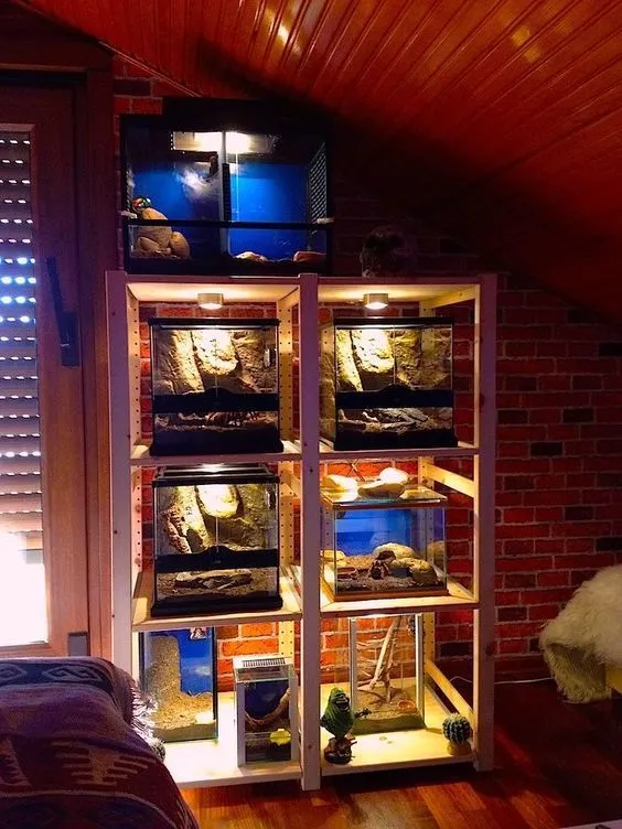 19695 ventilation tarantula enclosure