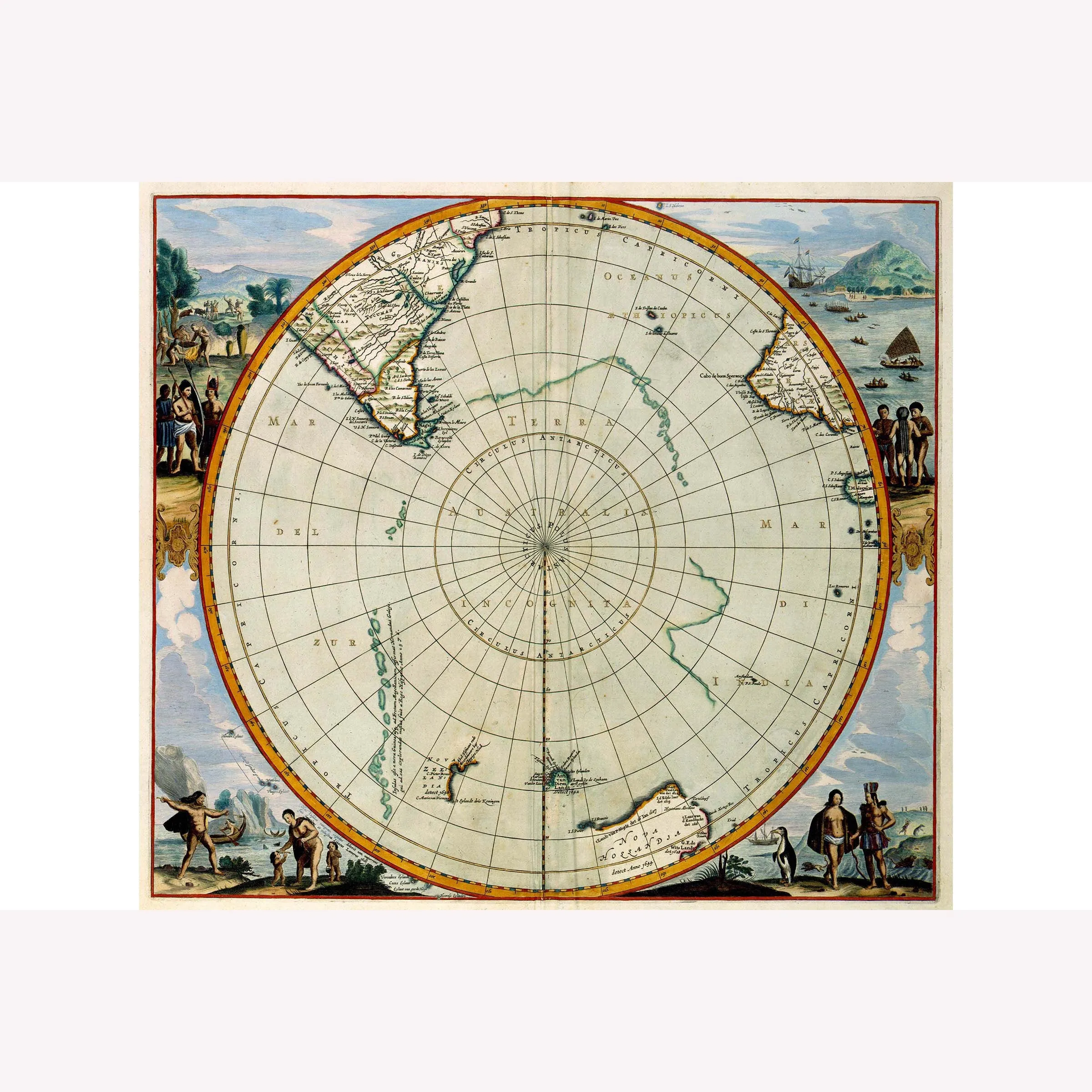 19698 tarantula island packing