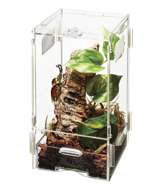 19701 tarantula feeding