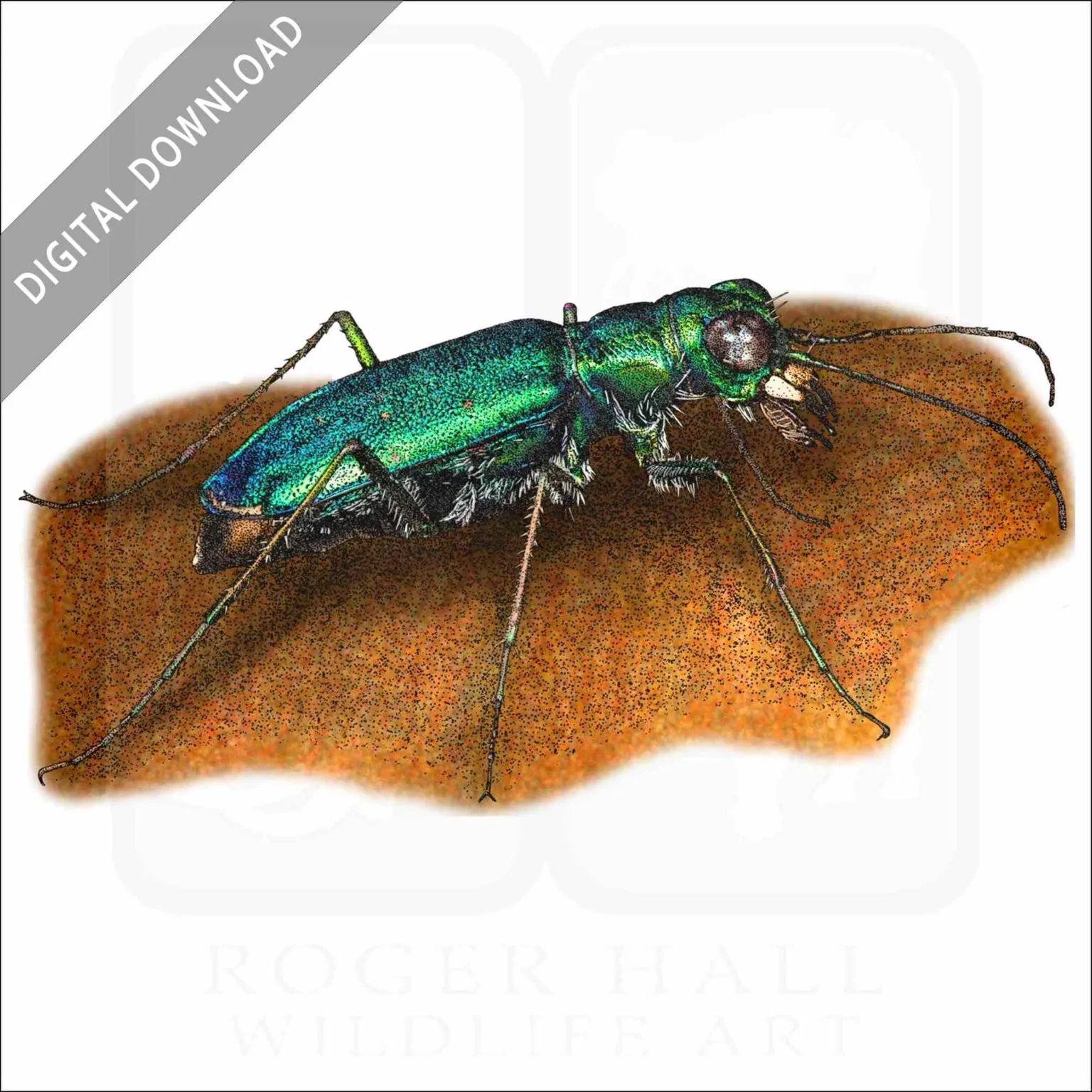 19712 tarantula handling