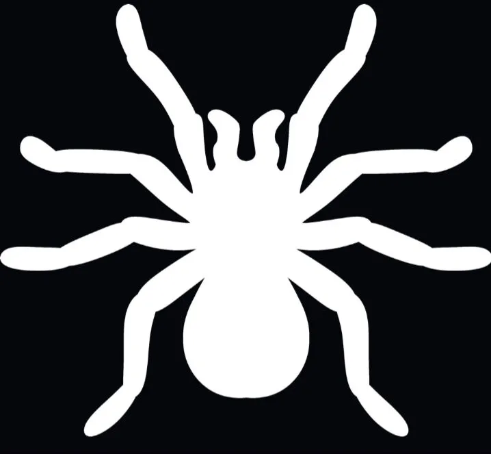 19721 tarantula for sale south africa regulations