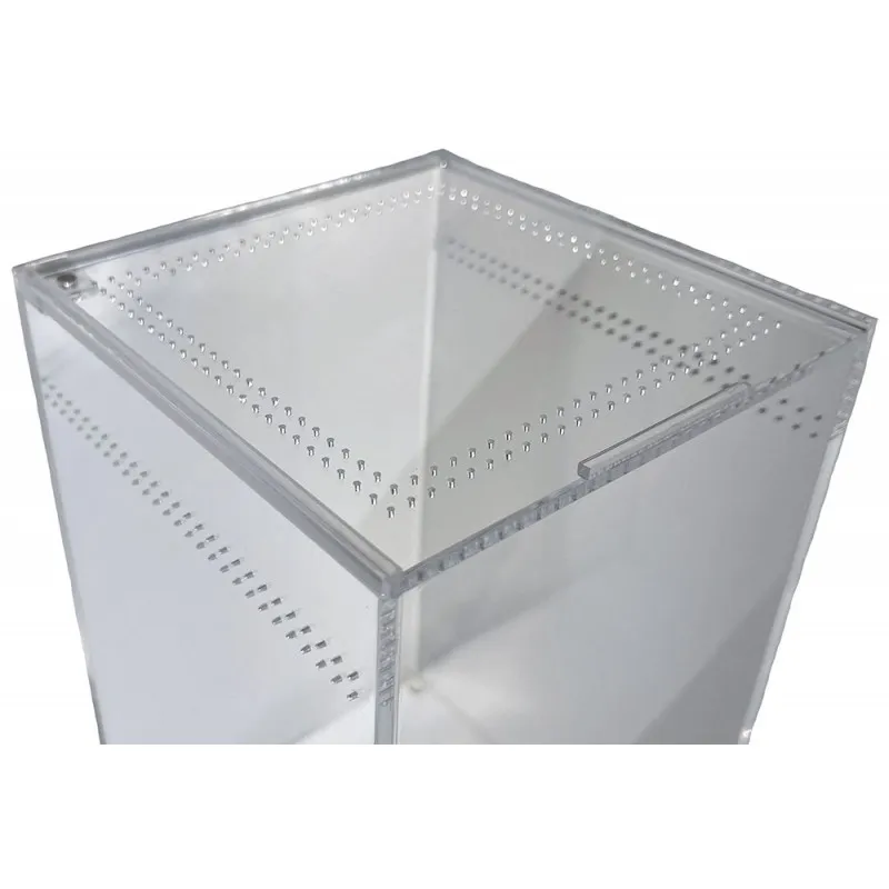 19723 tarantula enclosure philippines 5