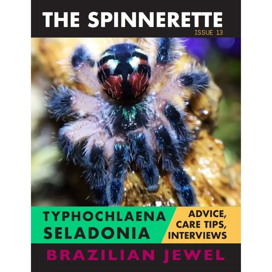 19727 typhochlaena seladonia habitat