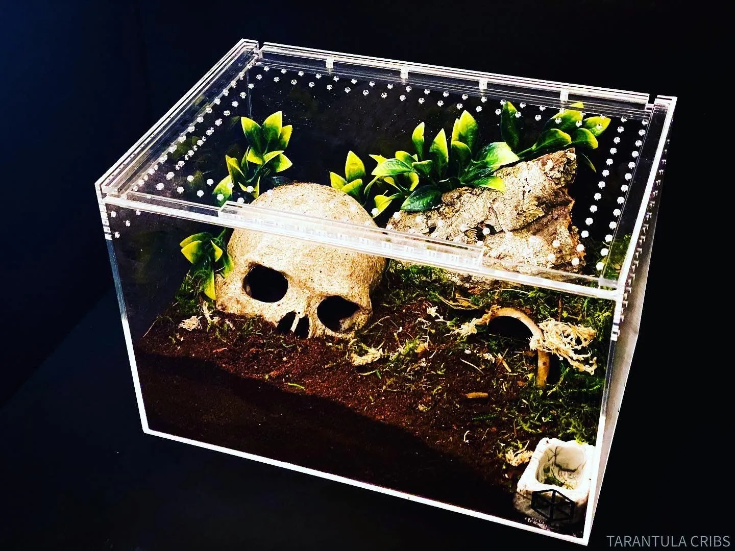 19728 acrylic tarantula cage