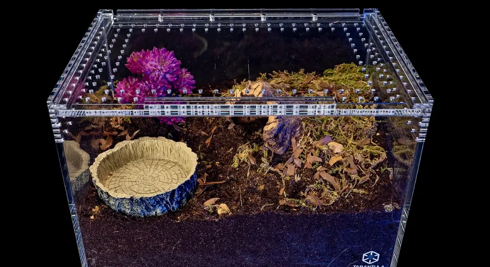 19728 plastic tarantula cage overview