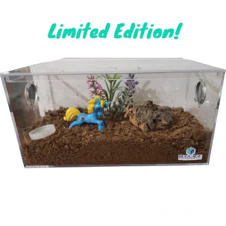 19728 tarantula cage size guide