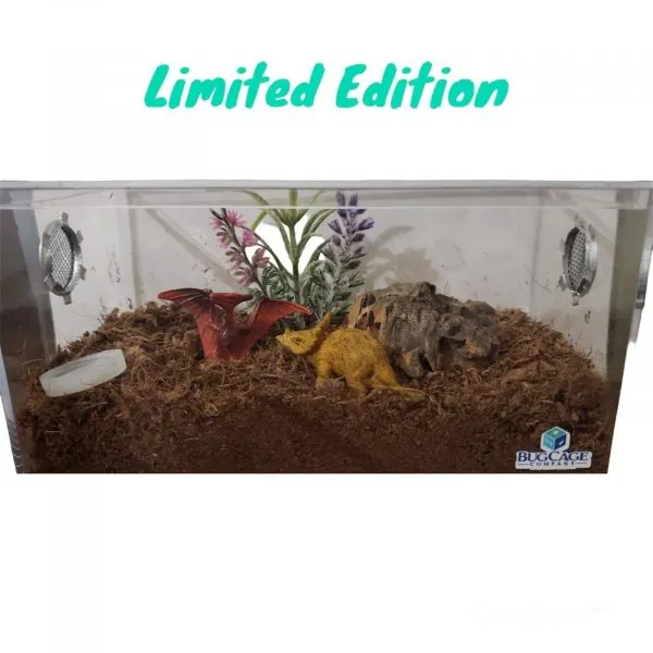 19728 tarantula cage ventilation