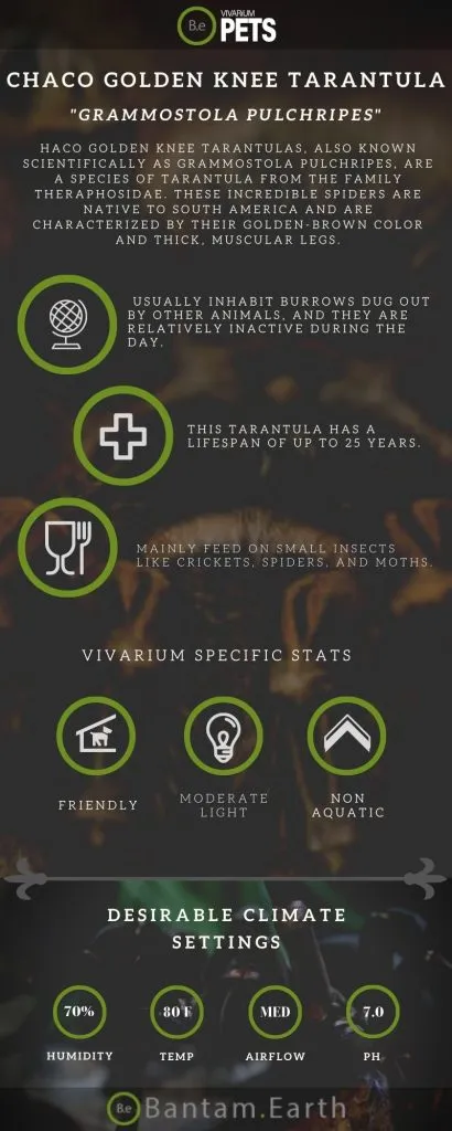 19733 golden knee tarantula health