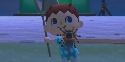 /img/19744-animal-crossing-tarantula-weather.webp