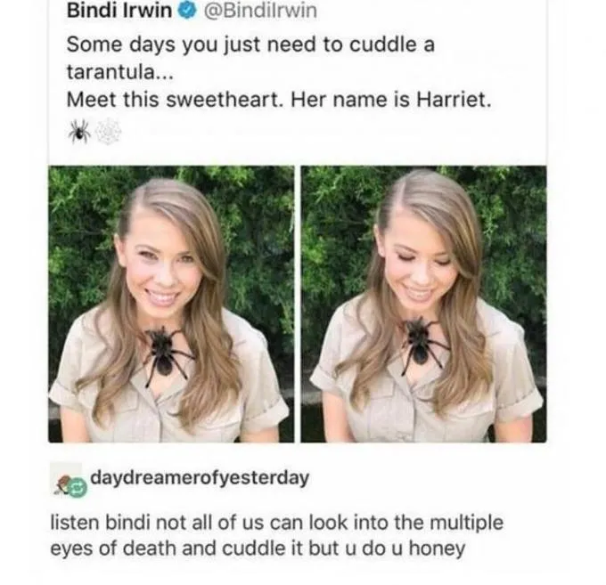 19746 bindi irwin australia zoo