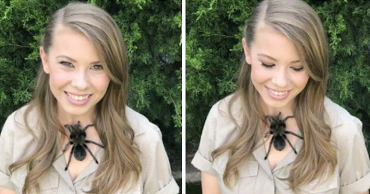 19746 bindi irwin conservation