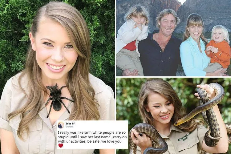 19746 bindi irwin tarantula tweet