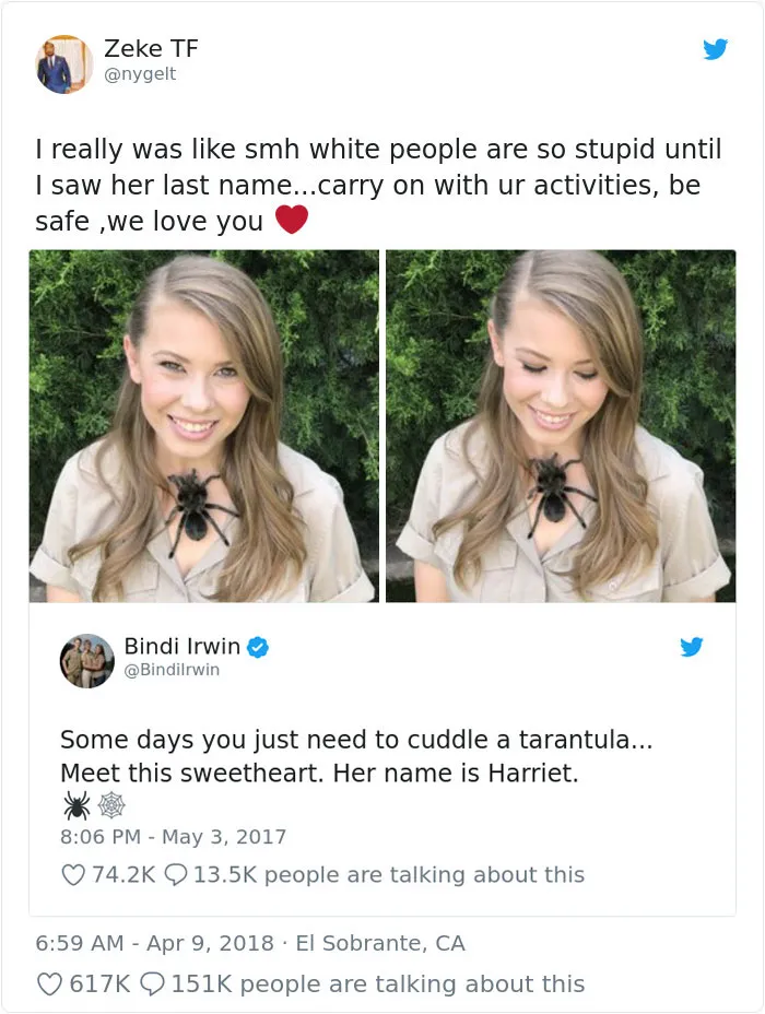 19746 social media reactions