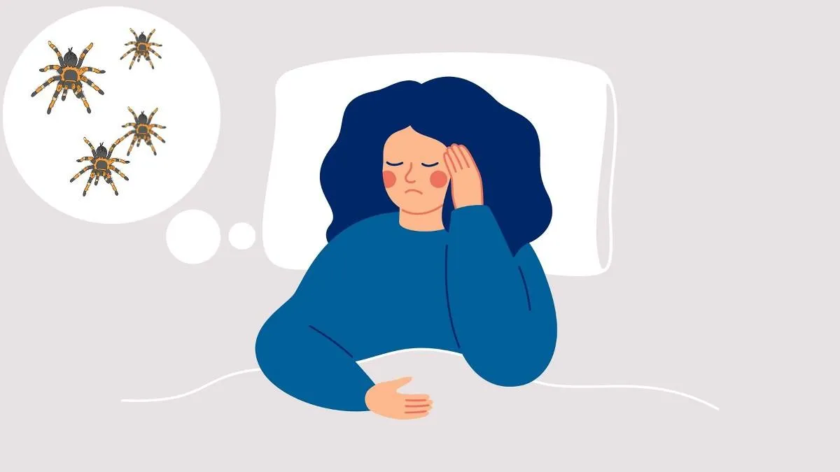 19749 tarantula color