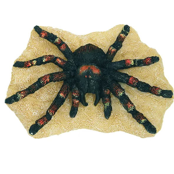 /img/19753-tarantula-magie-boutiques.webp