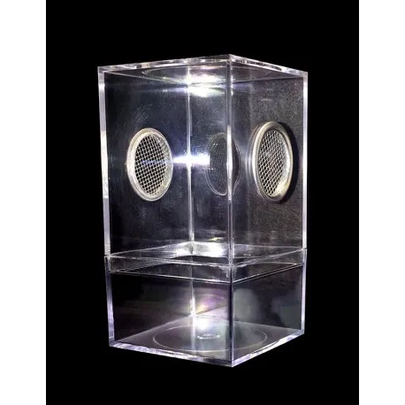 19757 tarantula sling glass enclosure