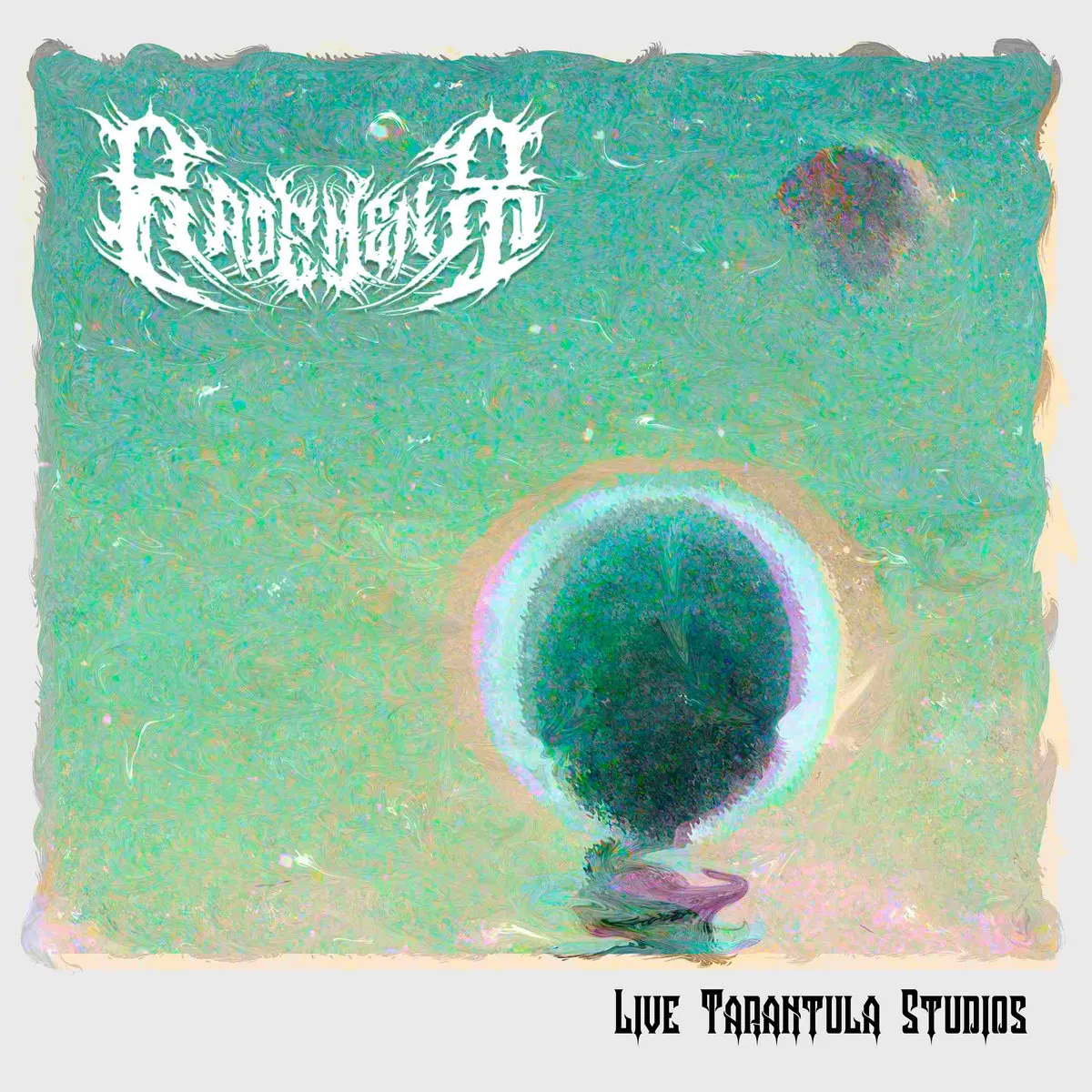 19758 tarantula studios development process