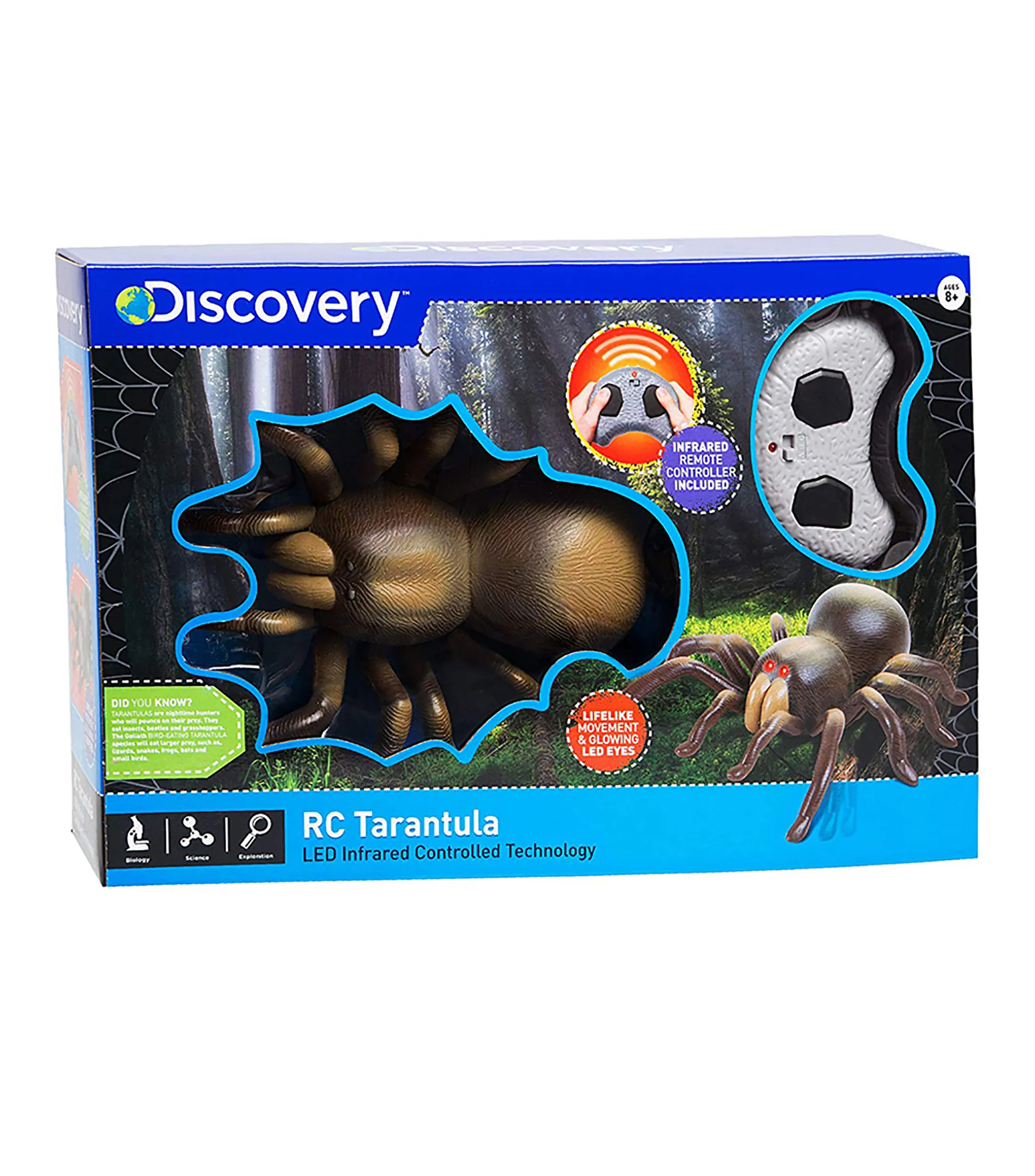 19766 rc tarantula connections