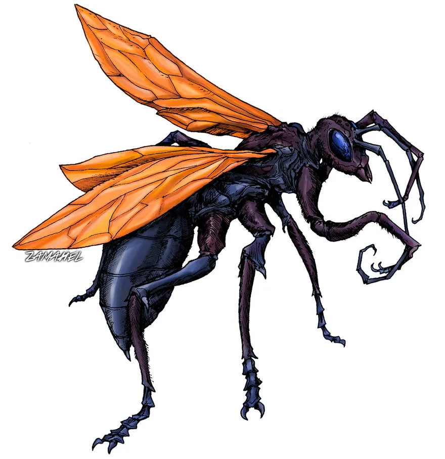19769 tarantula hawk wasp wings