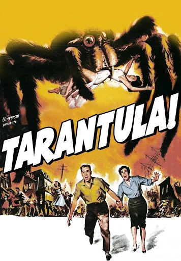 19770 tarantula show sunset