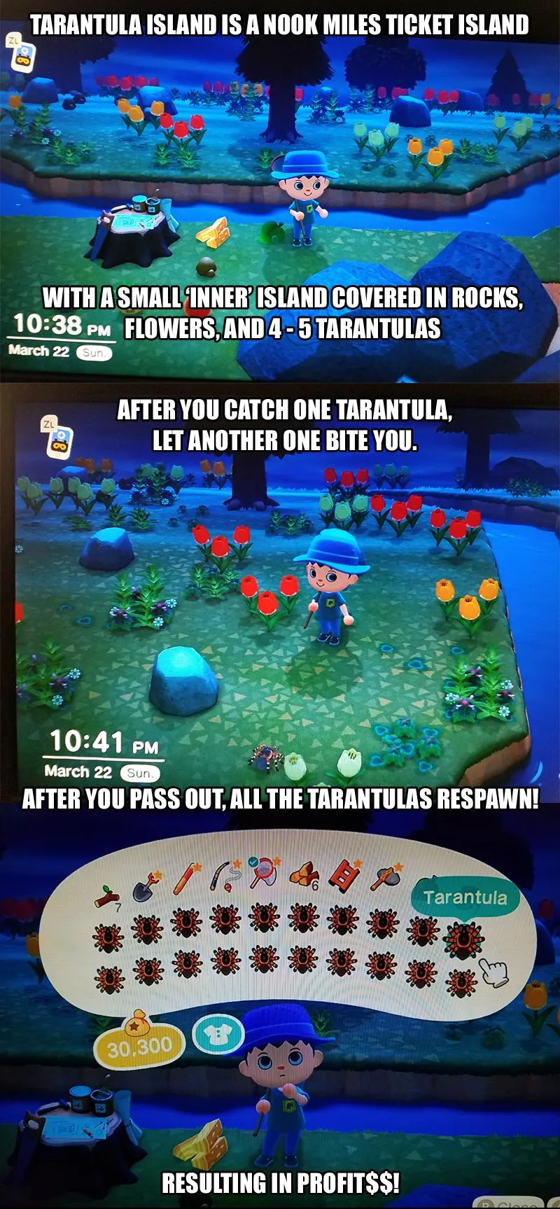 19772 animal crossing essential tools