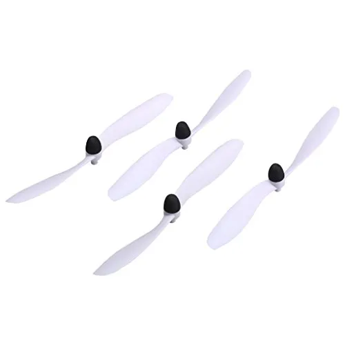 19776 tarantula overview