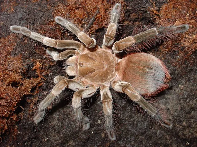 19784 ontario climate