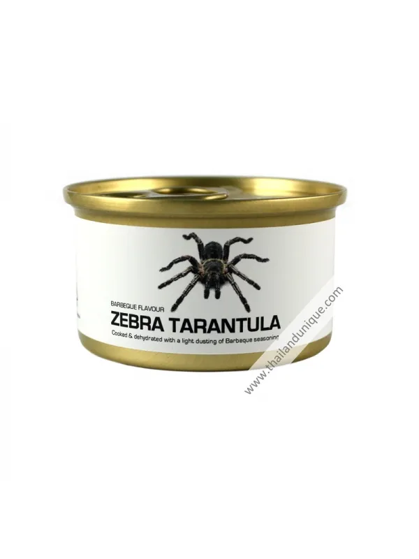 19788 zebra tarantula feeding