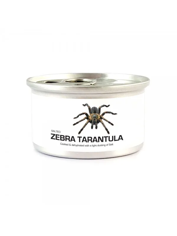 19788 zebra tarantula health