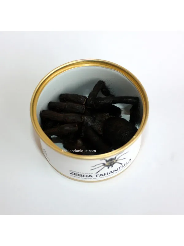 19788 zebra tarantula overview