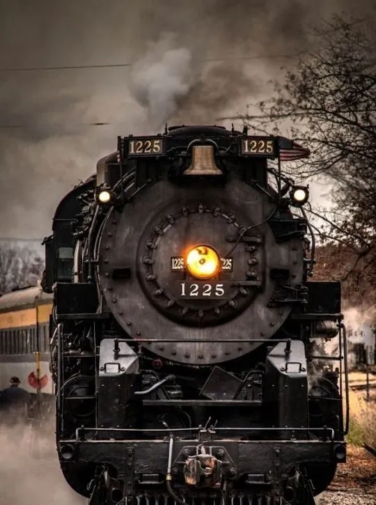 19795 tarantula train tickets