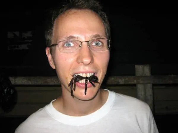 19799 tarantula closeup