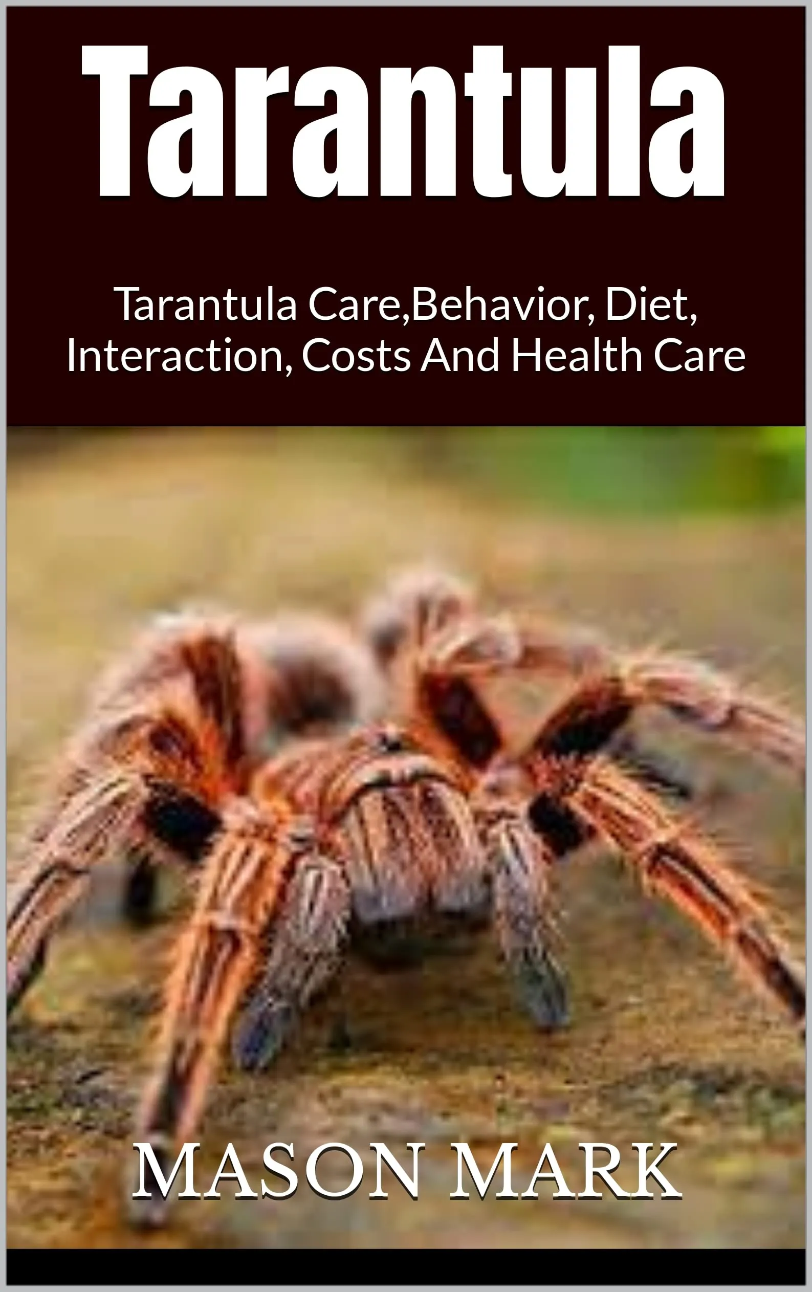 19808 tarantula breeding 2