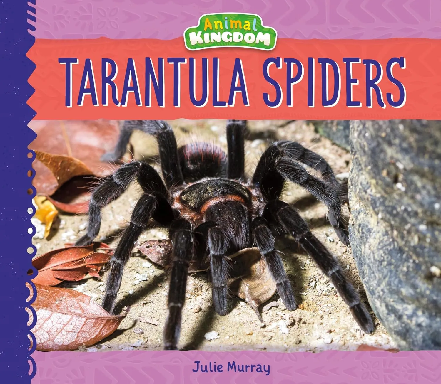 19808 tarantula breeding 4