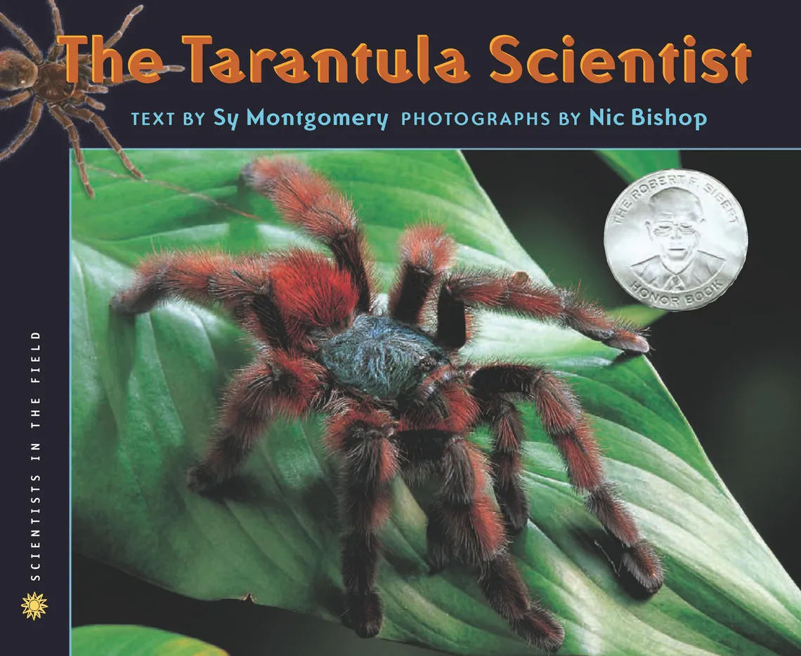19808 tarantula breeding 6