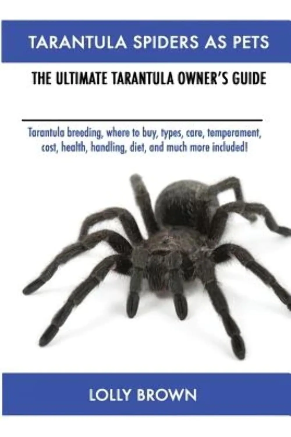/img/19808-tarantula-breeding-8.webp