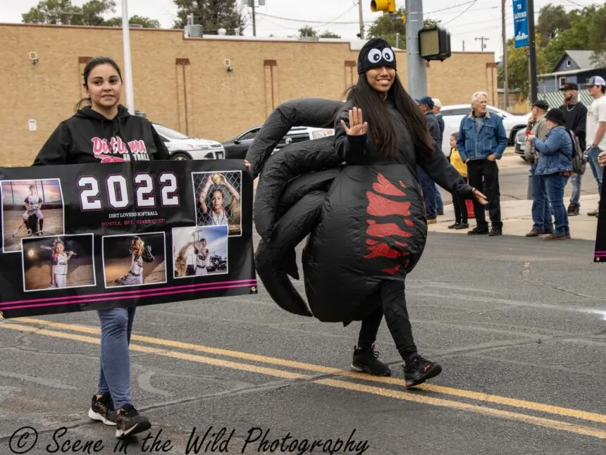 19817 tarantula expo beginner