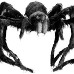 19819 tarantula meme 5