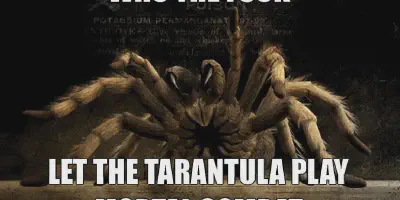 /img/19819-tarantula-meme-7.webp