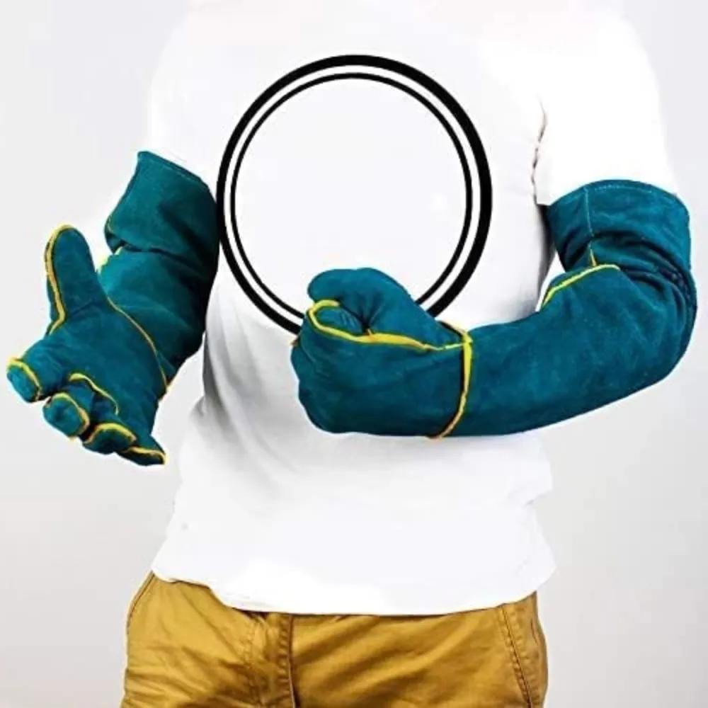 19820 tarantula coverage