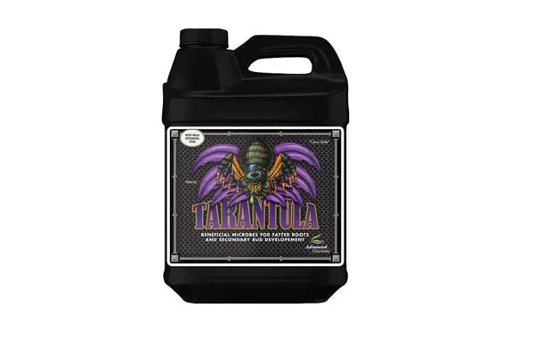 19821 tarantula application