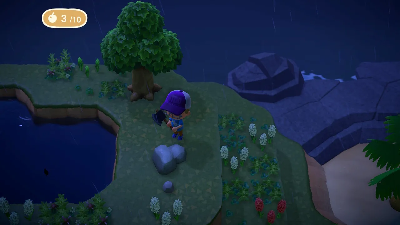 19828 animal crossing inventory space