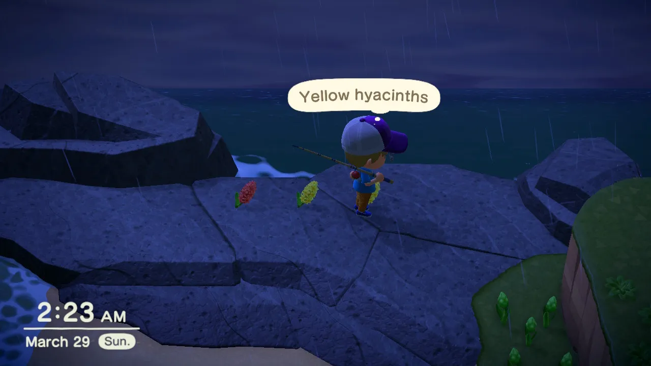 19828 animal crossing tarantula sell