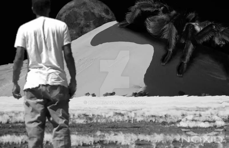 19835 professional guidance